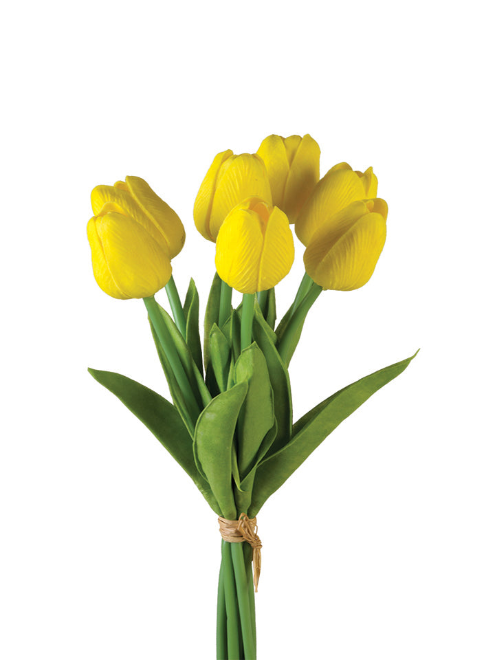 2260017YL | 12" | TULIP STEM BUNDLE X7