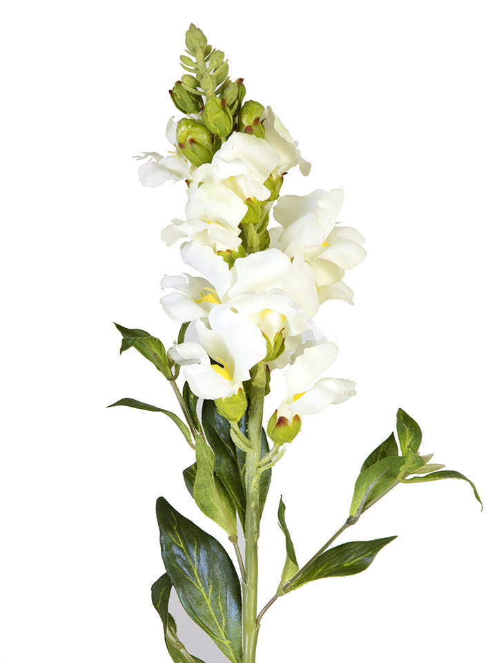 2268015CR | 21" | SNAPDRAGON SPRAY | CREAM