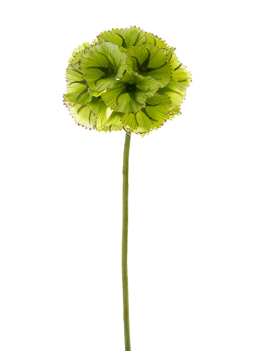 2268027LG | 22" | SMALL SCABIOSA BALL | LT. GREEN - A&B Wholesale Market Inc