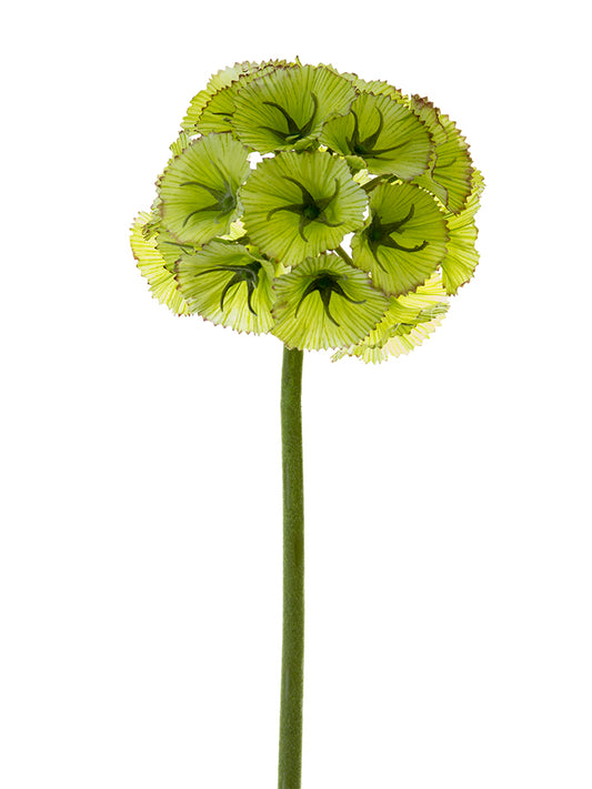 2268028LG | 24" | LARGE SCABIOSA BALL | LT. GREEN
