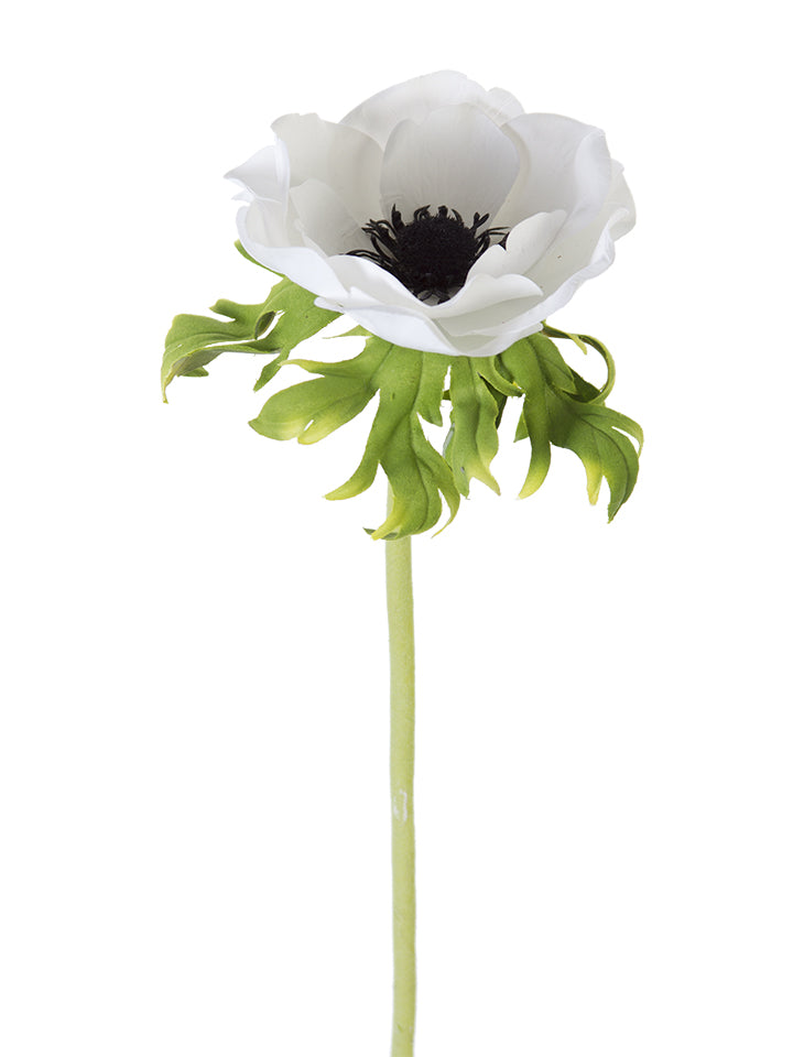2270026WH | 22" | POPPY ANEMONE STEM | WHITE