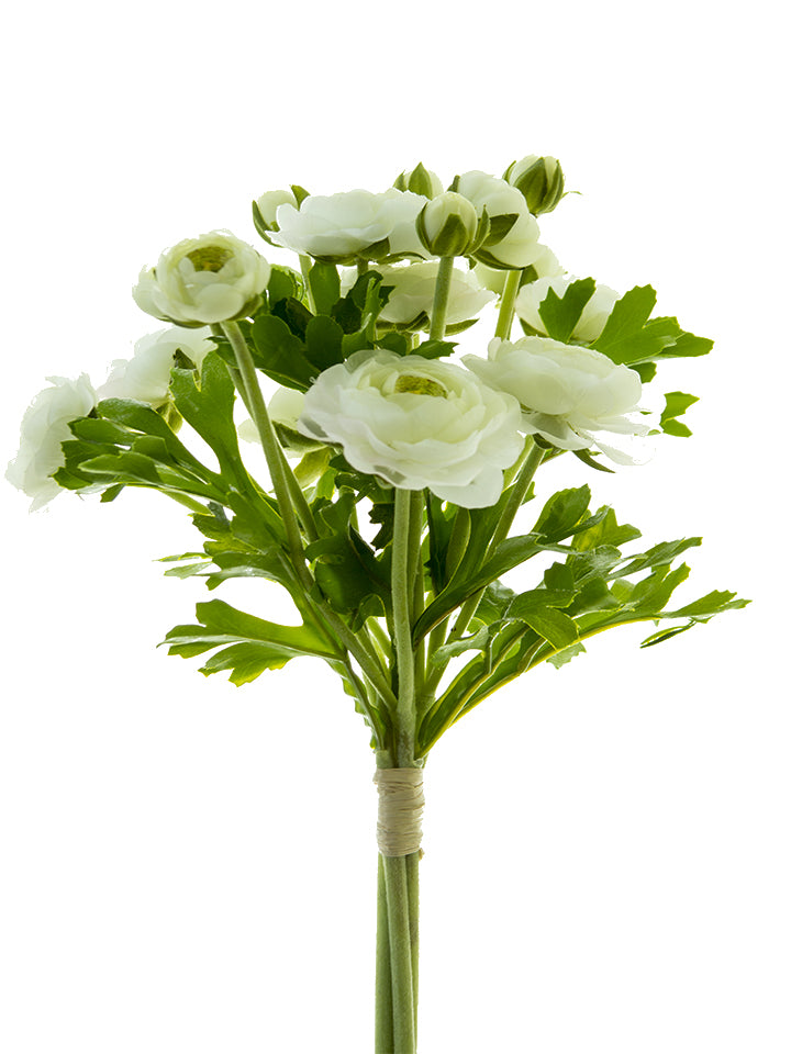 2280013WG 12" RANUNCULUS BOUQUET WHITE GREEN - A&B Wholesale Market Inc
