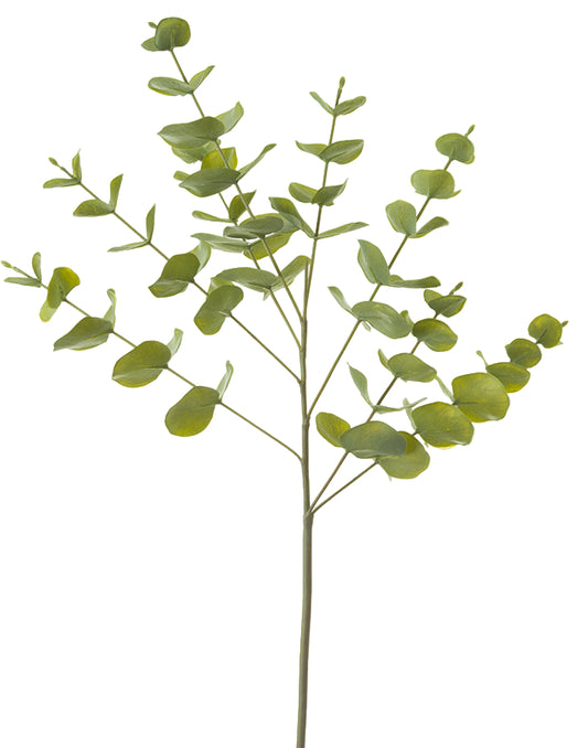 2310199SG | 27" | SPIRAL EUCALYPTUS SPRAY | SAGE