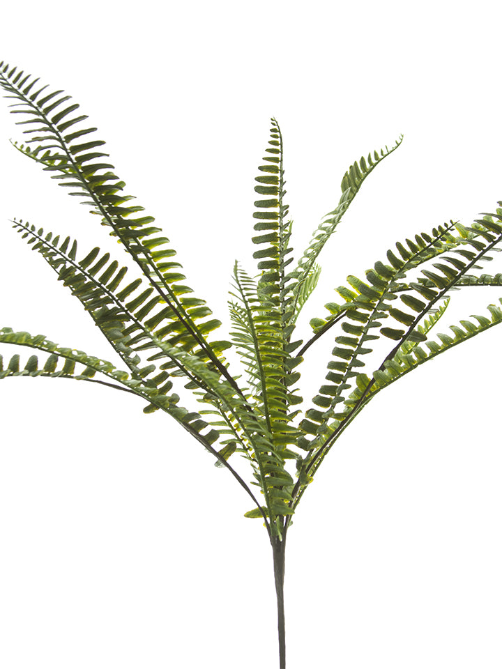 2320056GR | 20" | BOSTON FERN BUSH | GREEN