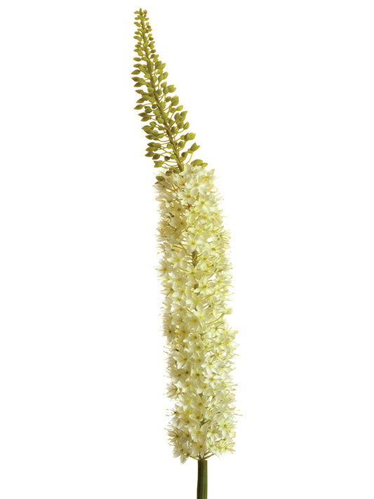 250013WH | 55" | EREMURUS | WHITE - A&B Wholesale Market Inc