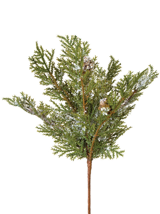 2830081GR | 11" | SNOWY CEDAR