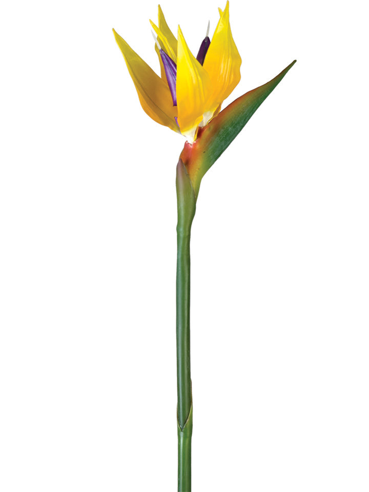 2238004YL | 36" | BIRD OF PARADISE SPRAY | YELLOW
