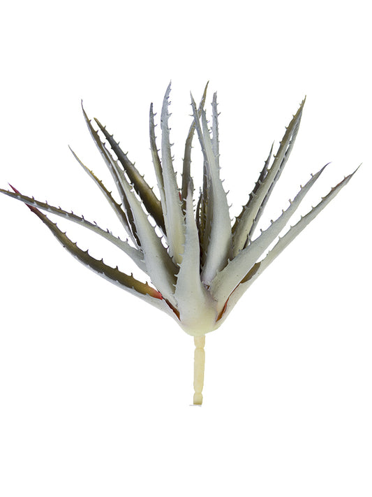 2130133SG 10" Aloe Pick w/Thorns - A&B Wholesale Market Inc