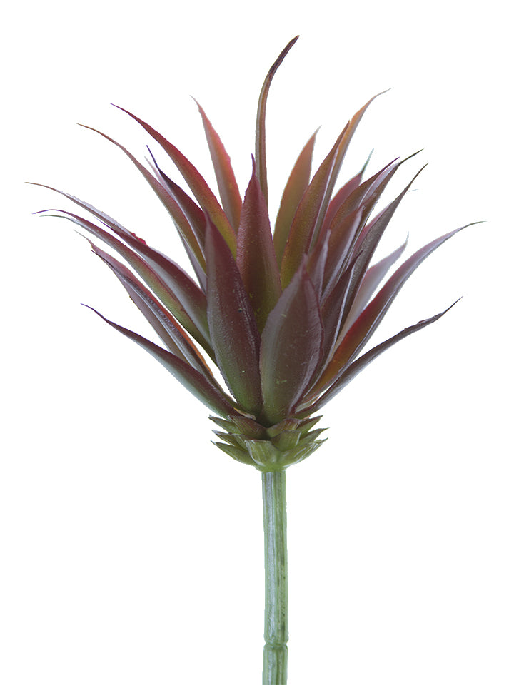 2130141BG 8.5" Mini Yucca Pick - A&B Wholesale Market Inc