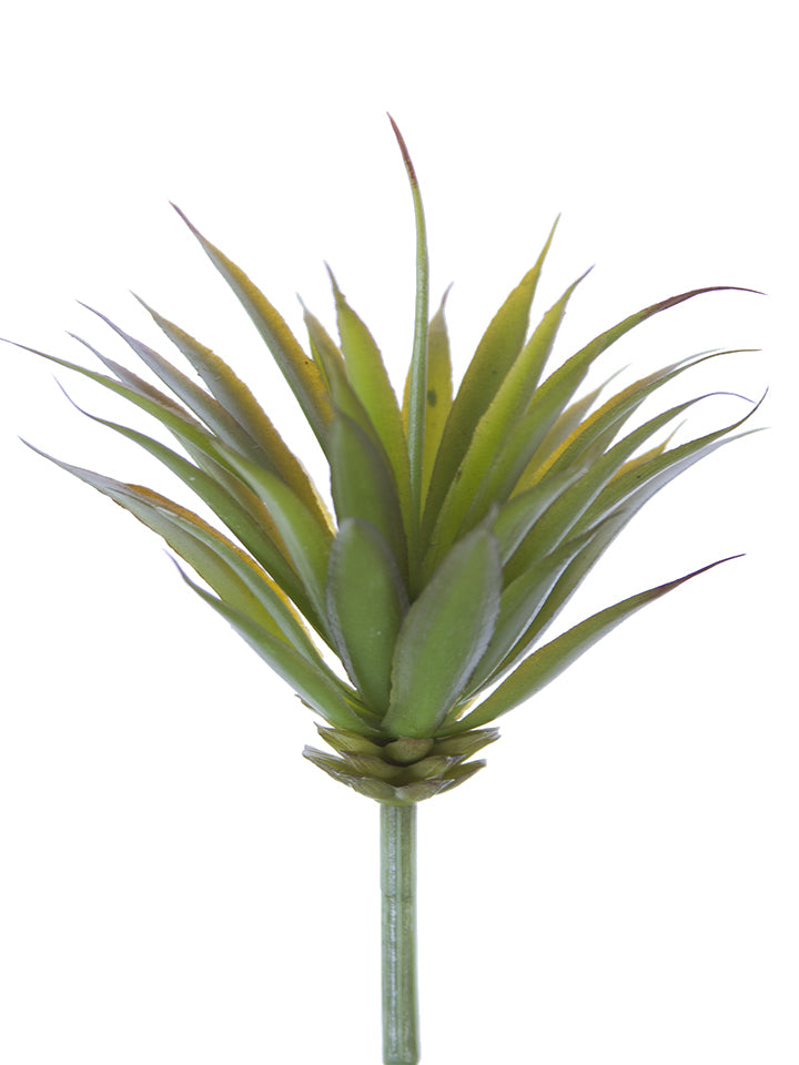 2130141GR 8.5" Mini Yucca Pick - A&B Wholesale Market Inc