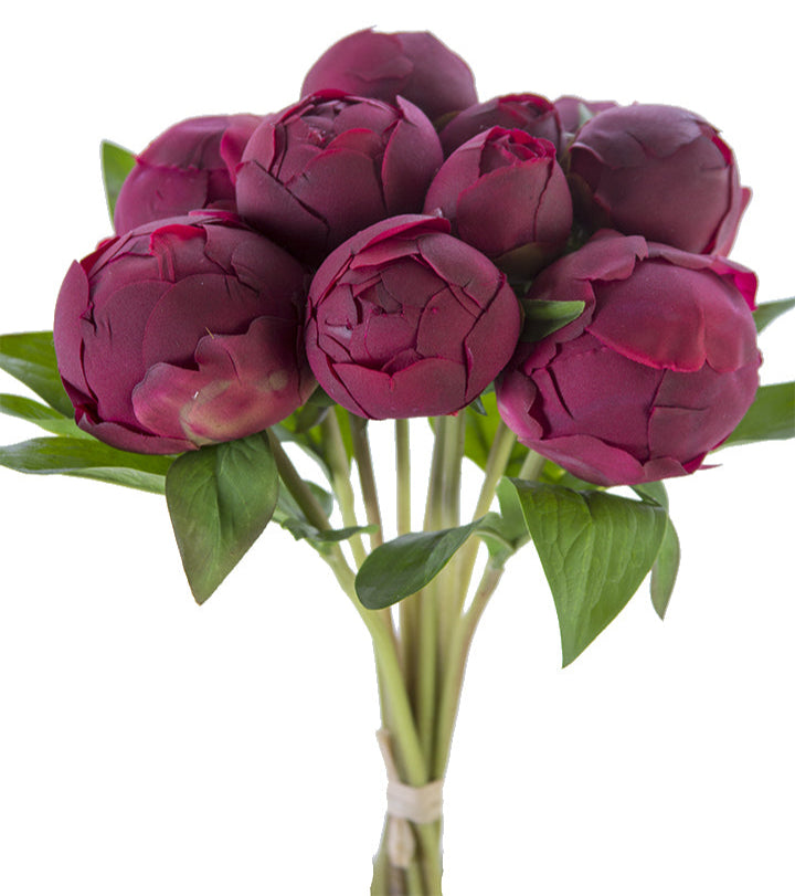 2253003XR 12" PEONY BUD BUNDLE X10 FRESH TOUCH- DARK RED