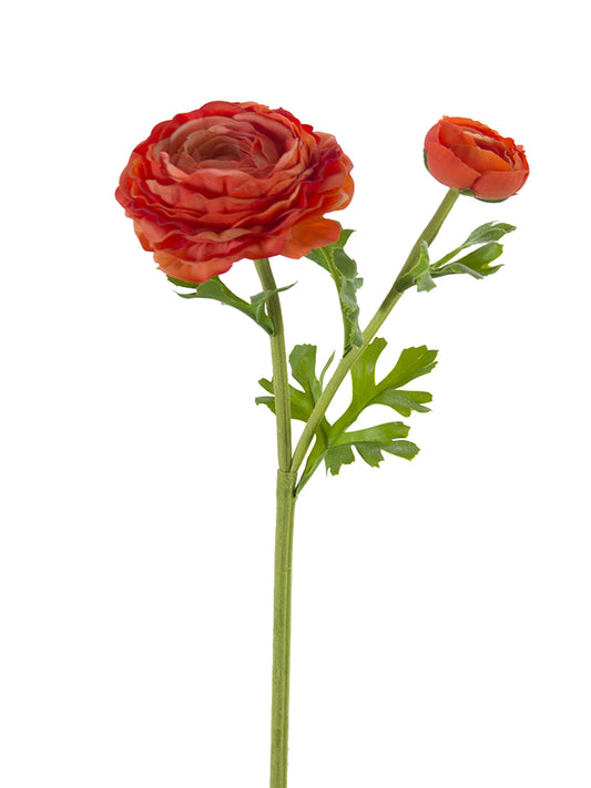 2256002OR | 24" | FRESH TOUCH ASIATIC RANUNCULUS | ORANGE