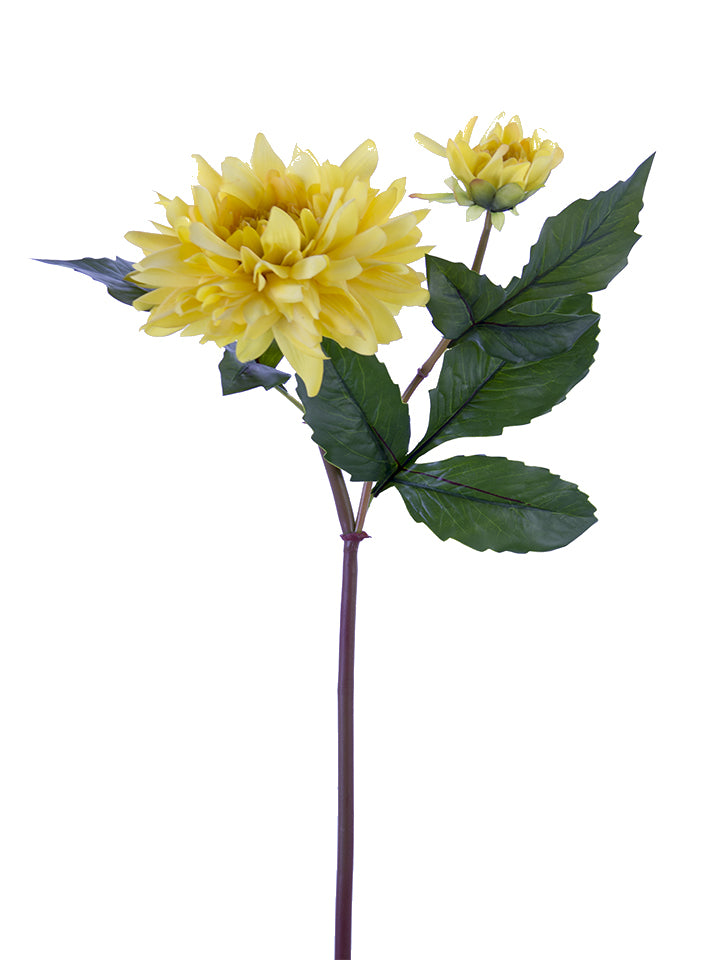 2257000YL | 21" | FRESH TOUCH DAHLIA | YELLOW - A&B Wholesale Market Inc