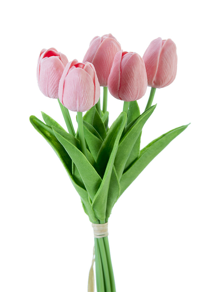 2260017CL | 12" | TULIP STEM BUNDLE X7