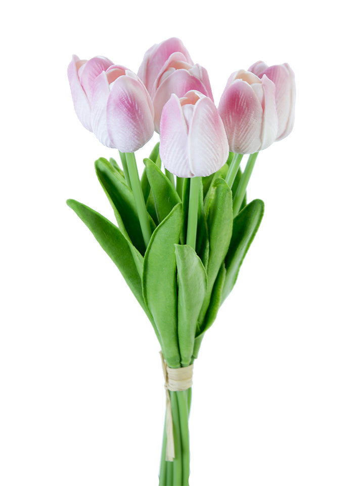 2260017LP | 12" | TULIP STEM BUNDLE X7