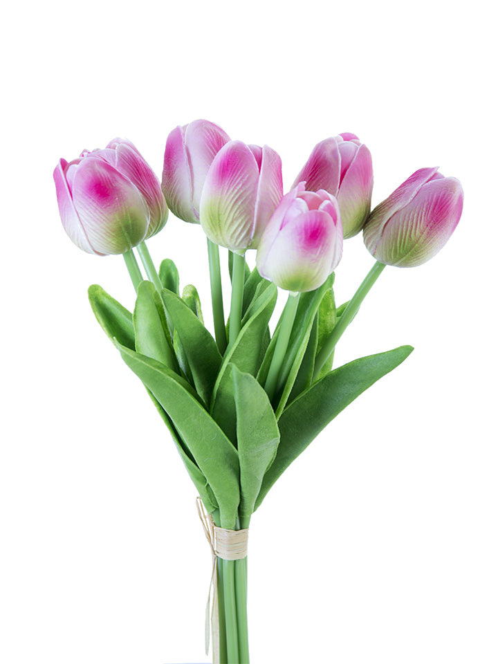 2260017PG | 12" | TULIP STEM BUNDLE X7