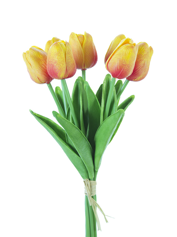 2260017YO | 12" |TULIP STEM BUNDLE X7