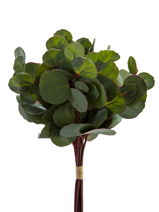 2313002GR 17" Silver Dollar Euc Bundle x12 - A&B Wholesale Market Inc