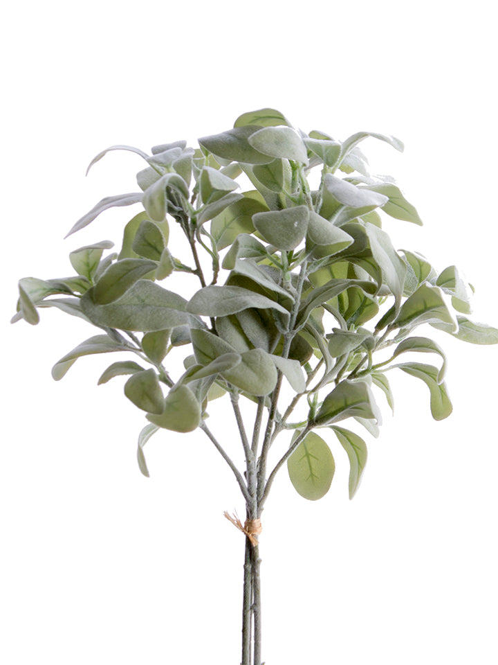 2310287FG | 21" | LAMBS EAR BUNDLE X3 | FROSTED GREEN