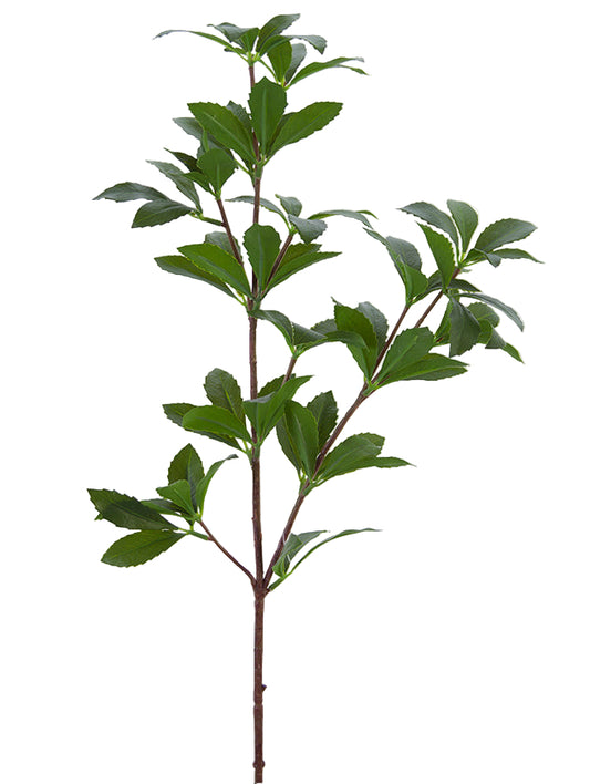 2310313GR | 25" | BUCKEYE TREE BRANCH | GREEN