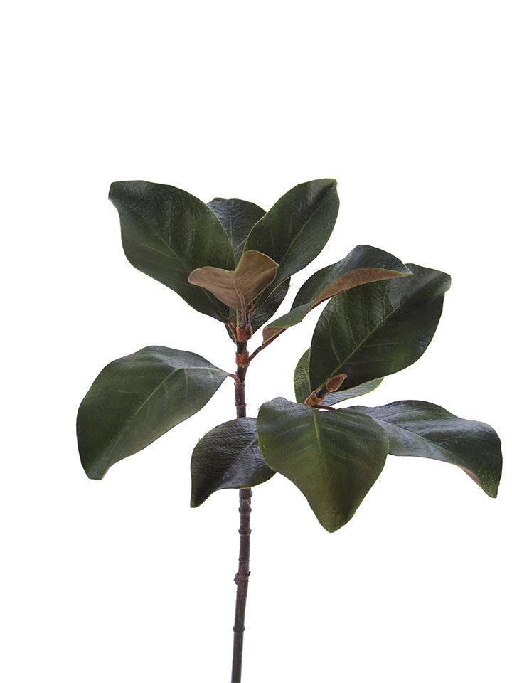 2310314GR | 25" | MAGNOLIA LEAF SPRAY | GREEN - A&B Wholesale Market Inc