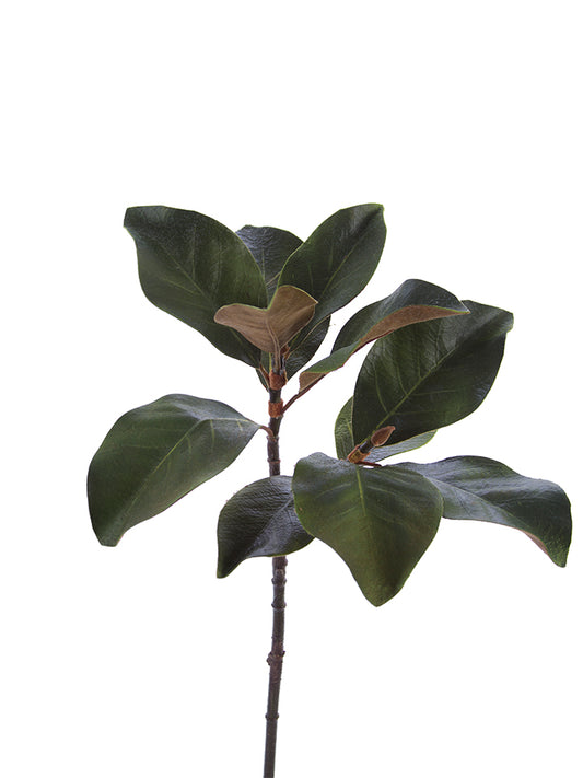 2310314GR | 25" | MAGNOLIA LEAF SPRAY | GREEN - A&B Wholesale Market Inc