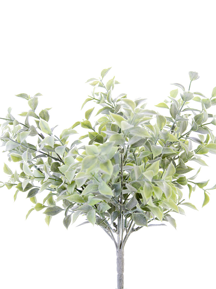 2320110FG | 14" | LAUREL LEAF BUSH | FROST GREEN