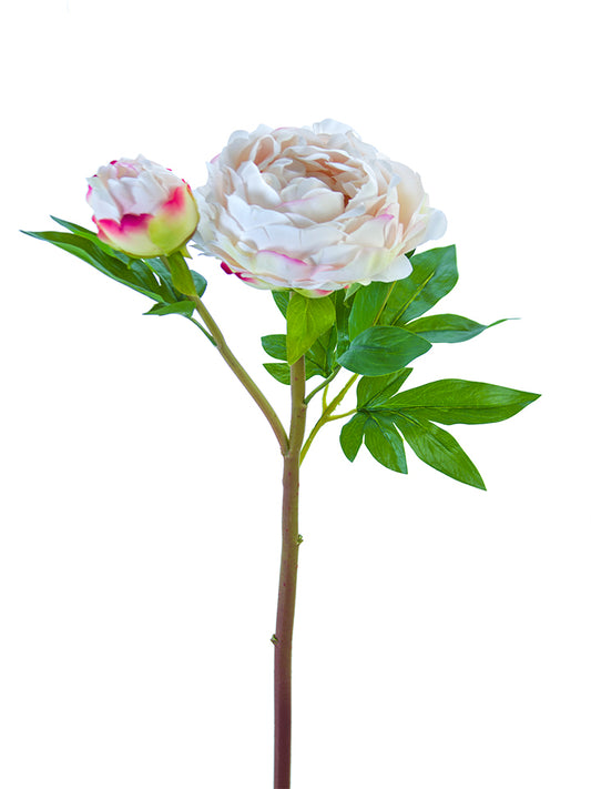 2253004BH | 26" | FRESH TOUCH HEIRLOOM PEONY SPRAY | BLUSH - A&B Wholesale Market Inc