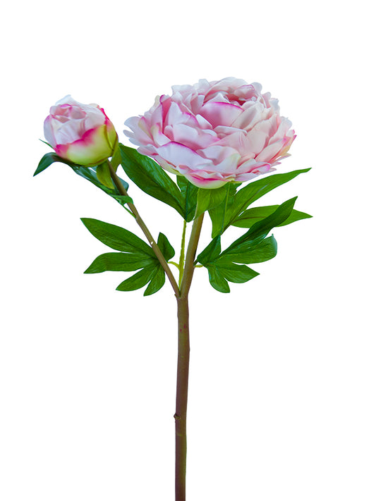 2253004LP | 26" | FRESH TOUCH HEIRLOOM PEONY X1F1B | LT. PINK