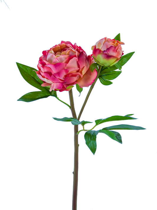 2253004SM | 26" | FRESH TOUCH HEIRLOOM PEONY | SALMON - A&B Wholesale Market Inc