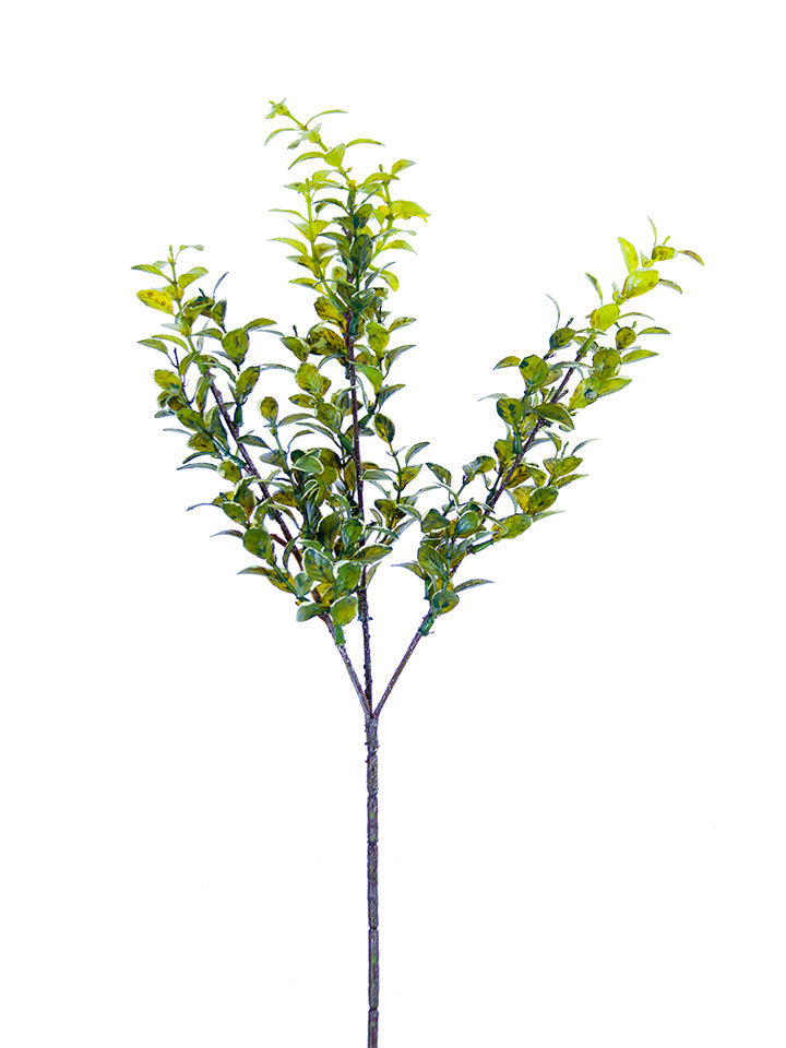 2310329GY 27" Myrtle Spray - A&B Wholesale Market Inc