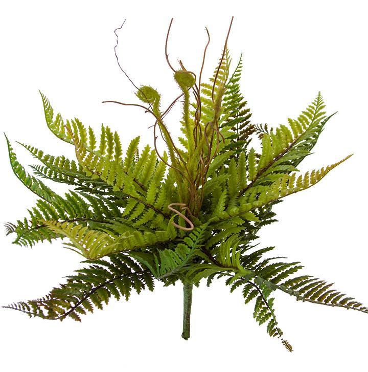 2320121GB  13" TOTARA FERN BUSH