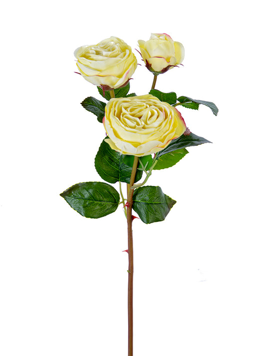 2251002LY | 21" | FRESH TOUCH CABBAGE ROSE SPRAY | LT. YELLOW