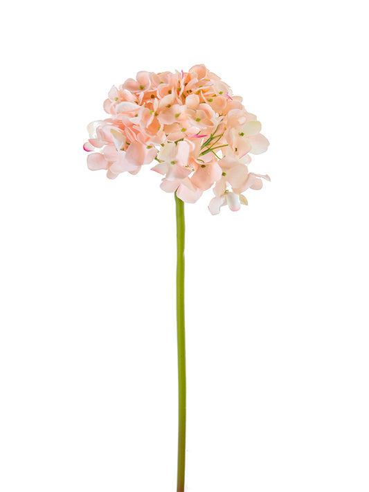 2254000LC | 21" | FRESH TOUCH GARDEN HYDRANGEA | LT. CORAL - A&B Wholesale Market Inc