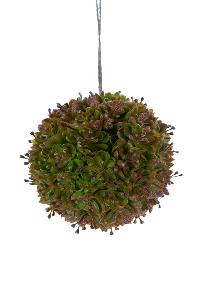 2130221GB 4" Succulent Ball - A&B Wholesale Market Inc