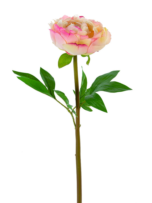 2245045PC 26" Peony Stem - A&B Wholesale Market Inc