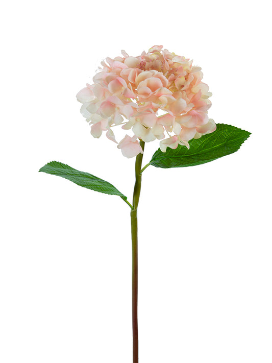 2255130CP | 21" | REAL TOUCH HYDRANGEA | CREAM/PINK