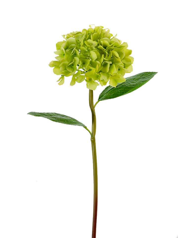 2255130GR | 21" | REAL TOUCH HYDRANGEA | GREEN