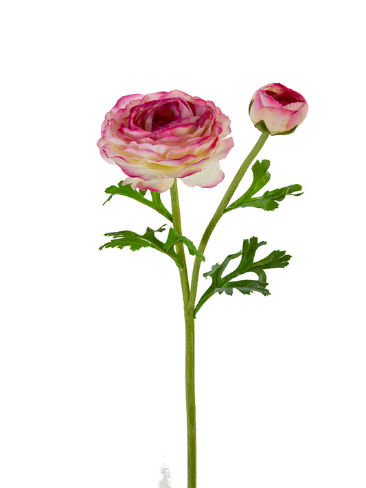 2280019CM | 22" | REAL TOUCH RANUNCULUS | CREAM/MAUVE - A&B Wholesale Market Inc
