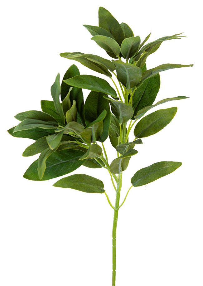 2310361GR | 21" | SALVIA SPRAY | GREEN