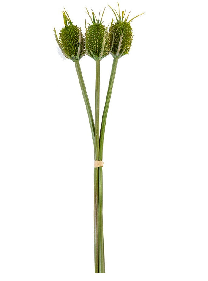 2310363GR | 30.5" | FULLER'S TEASEL BUNDLE | GREEN