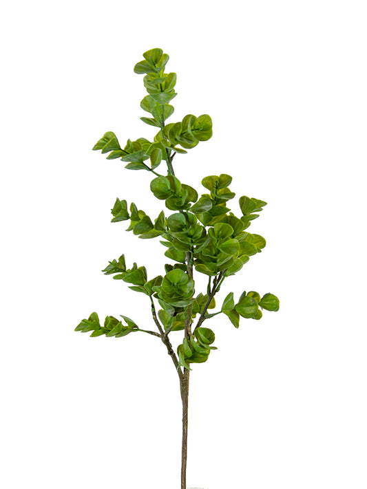 2310401GR | 24" | EUCALYPTUS SPRAY | GREEN