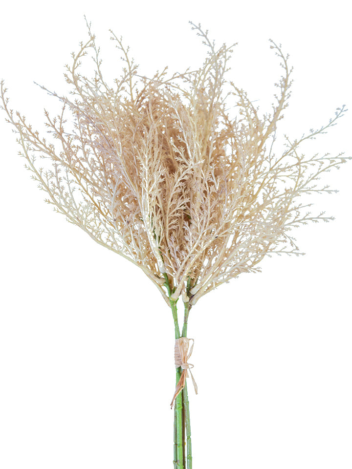 2150111BE  17" PAMPAS BUNDLE