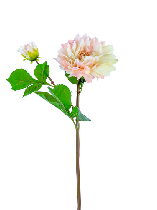 2257000BH 21" DAHLIA 1F1B