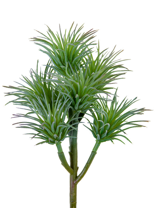 2130230GB 8" Tillandsia Pick - A&B Wholesale Market Inc