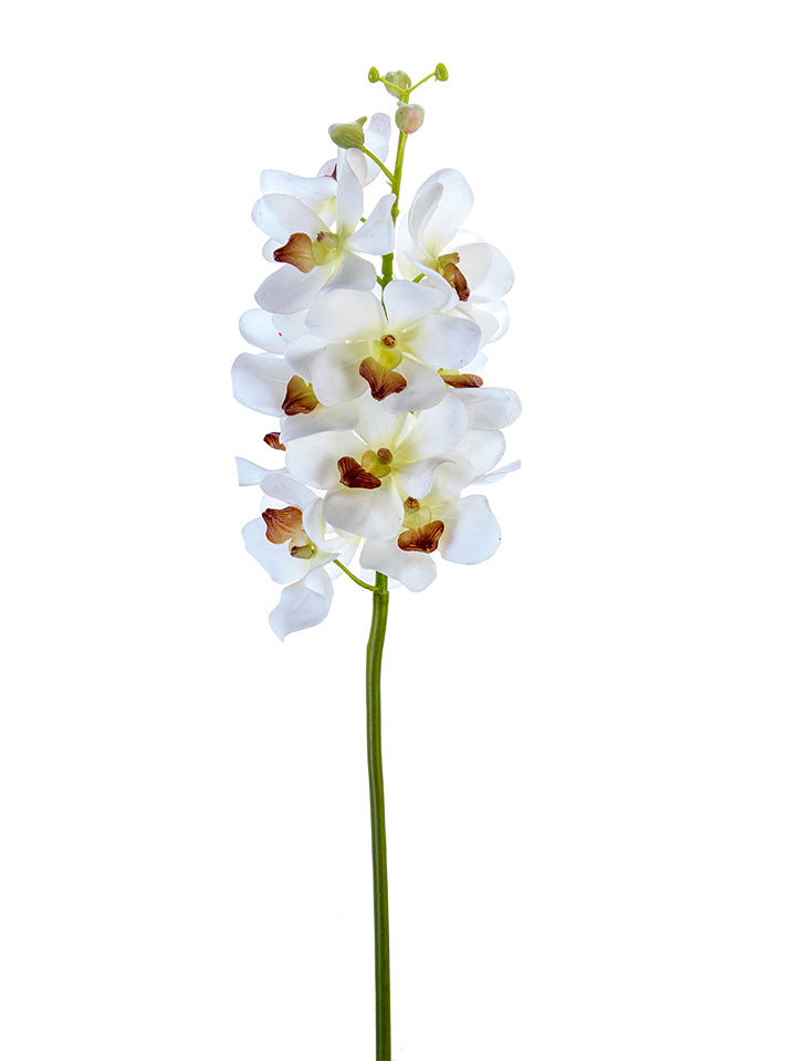 2230089WH | 27" | REAL TOUCH VANDA ORCHID | WHITE - A&B Wholesale Market Inc