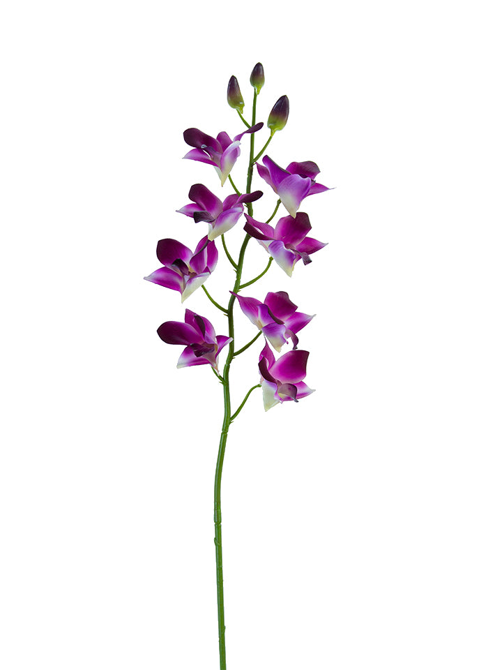 2230092PP | 27" | REAL TOUCH DENDROBIUM ORCHID | PURPLE