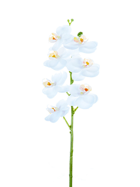 2230094WH | 24" | Phalaenopsis Orchid | Real Touch | White