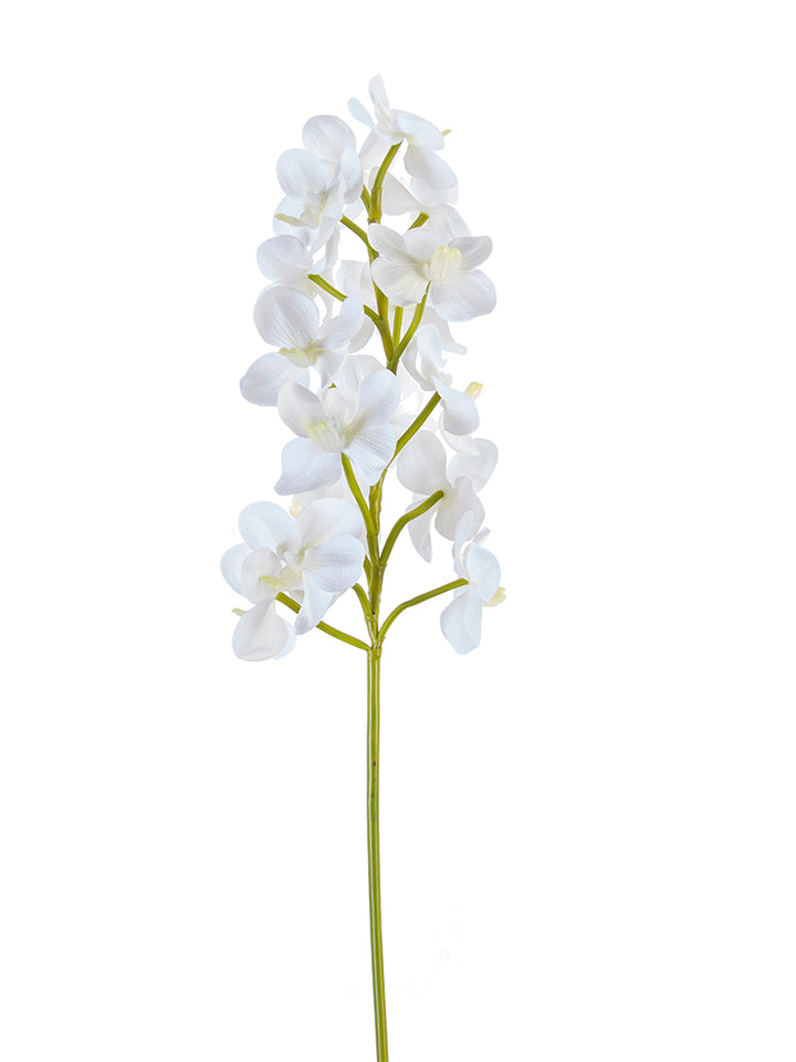 2230096WH | 29" | ORCHID VANDA STEM | WHITE