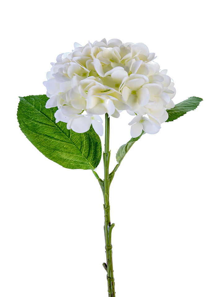 2255132CR | 19" | REAL TOUCH HYDRANGEA SPRAY | CREAM - A&B Wholesale Market Inc